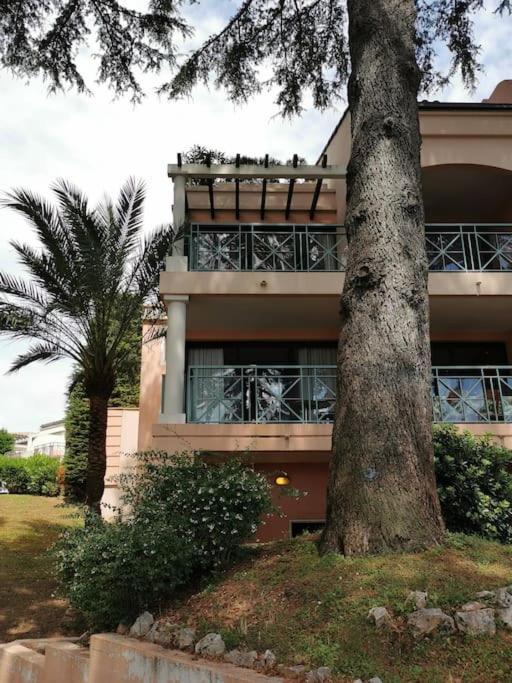 Appartement Renove, Piscine A Debordement, Vue Mer Cannes Exteriér fotografie